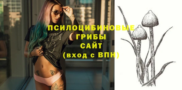 PSILOCYBIN Армянск
