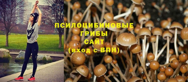 ALPHA-PVP Арсеньев