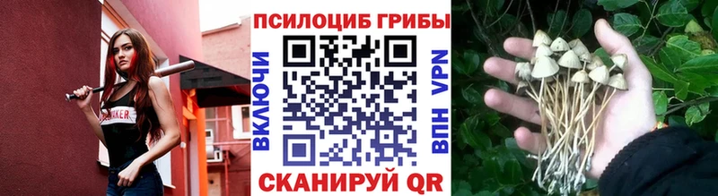 купить наркотики цена  Учалы  Галлюциногенные грибы MAGIC MUSHROOMS 